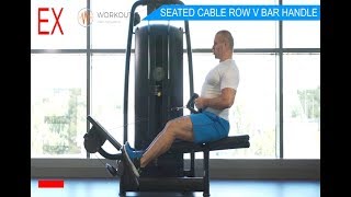 SEATED CABLE ROW V BAR HANDLE exercise video thumbnail