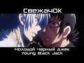 [СвежачОК] Молодой Черный Джек / Young Black Jack 