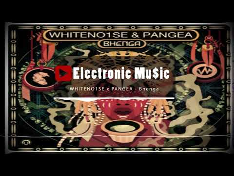 WHITENO1SE x PANGEA - Bhenga