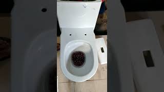 Flushing Difference Between Siphonic Vs Washdown One Piece Closet | Gravity Bath Fittings