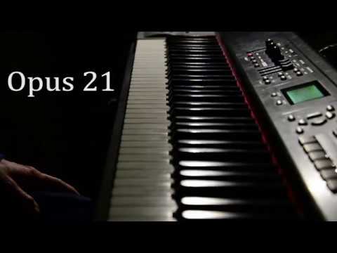 Dustin O'Halloran - Opus 21