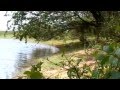 Steve Irwin Crocodile Hunter Snake Island 3 4