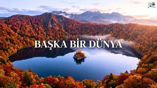 Sonbaharda Dünya Bambaşka Bir Yere Dönüşüyor | 4K Belgesel