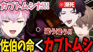 【PEAK/全3視点】佐伯の命よりもカブトムシの方が優先度が高い皇れお【にじさんじ/切り抜き/佐伯イッテツ/皇れお/加賀美ハヤト】