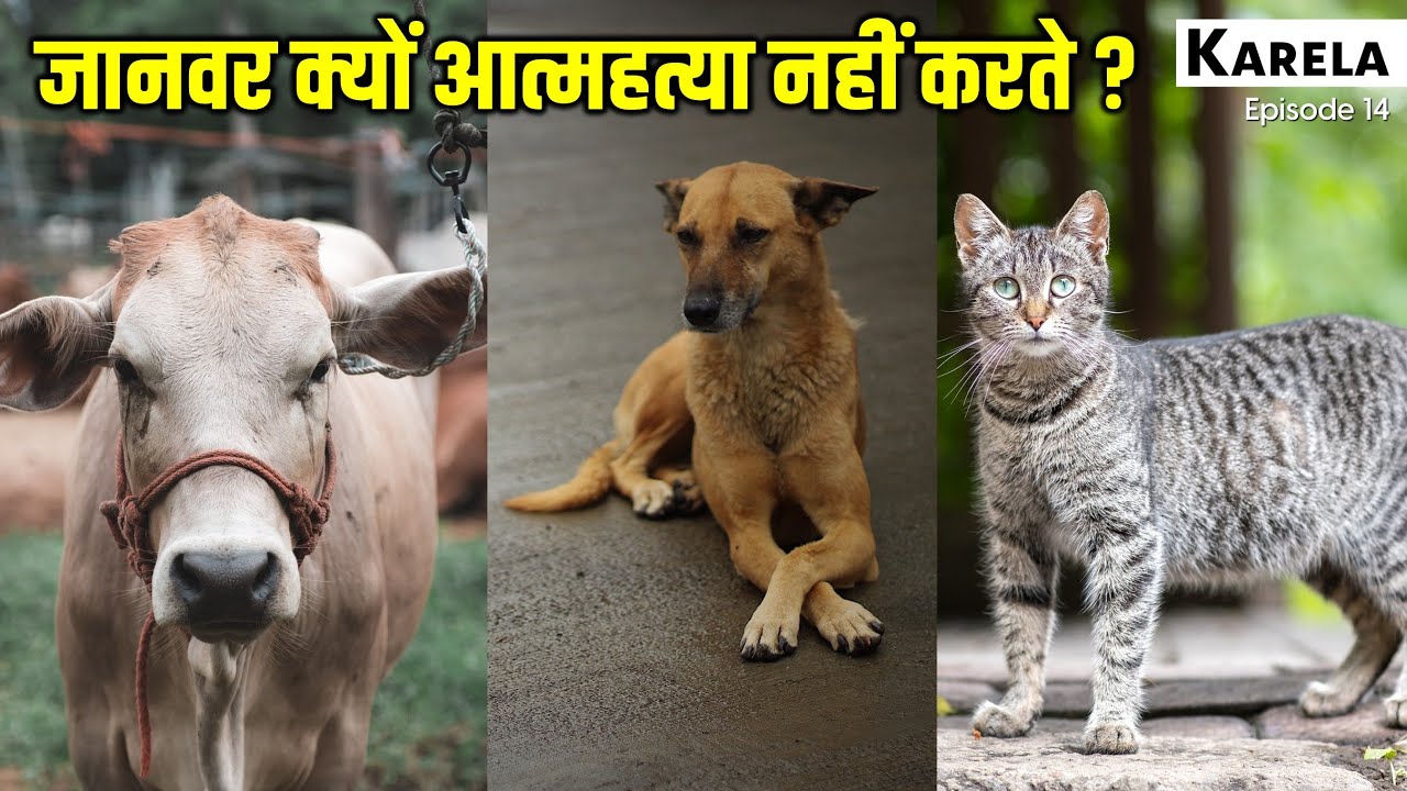जानवर आत्महत्या क्यों नहीं करते ? Why Animals Don't Commit Suicide ? Karela Book Episode 14