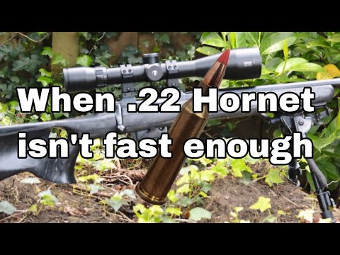 .17 Hornet