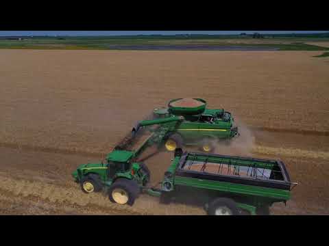 Wheat Harvest 2020