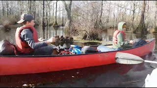preview picture of video 'Merchants Millpond swamp campout - December 2018'