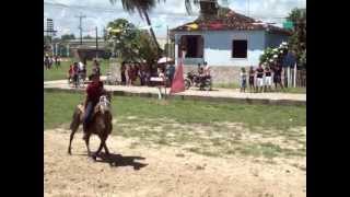 preview picture of video 'Apresentações dos Cavalos'