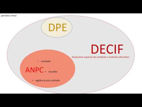 Diagrama 3 Pilares DL124