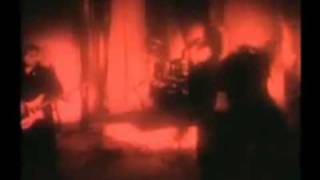 Duran Duran - Notoriousaurus Rex (Fan-Made)