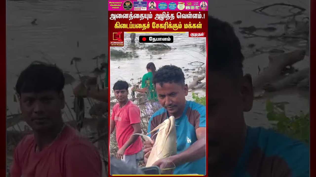 அனைத்தையும் அழித்த வெள்ளம்.! கிடைப்பதைச் சேகரிக்கும் மக்கள் | Nepal Flood | Kumudam News