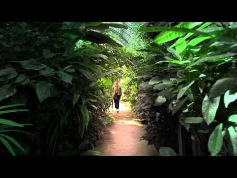 twinsmatic - Sequential (Official Video)