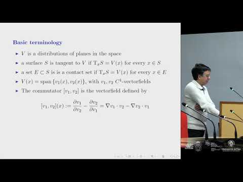 Alessio Figalli, Fields medallist 2018 - International Meeting - 17 January 2019