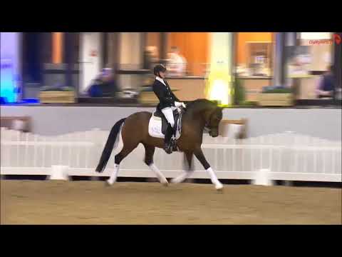 D Power AT Münster Handorf 2022