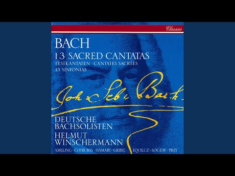 J.S. Bach: Mein Herze schwimmt im Blut, Cantata, BWV 199 - IV. Aria "Tief gebückt und voller Reue"