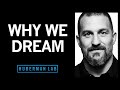 Understanding and Using Dreams to Learn and to Forget | Huberman Lab Podcast #5