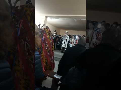 Ansamblul Dubasii Victor Vlad Delamarina la colindat la Honorici