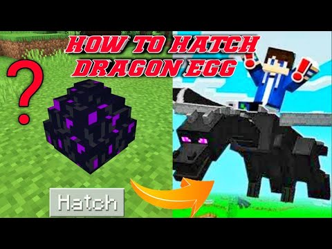 Ultimate Minecraft Ender Dragon Egg Hatch Guide