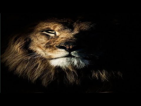 Ithehaas Khalse Da – (Full Audio) New Punjabi Song || Latest Punjabi Song