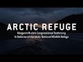 ARCTIC REFUGE | Margaret Murie's Testimony Before Congress