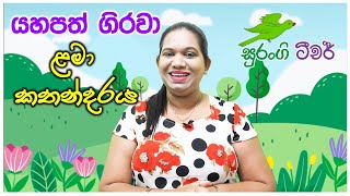 සිංහල ළමා කතන්දර Sinhala Lama Kathandara Surangi Teacher With Punchi Pancho