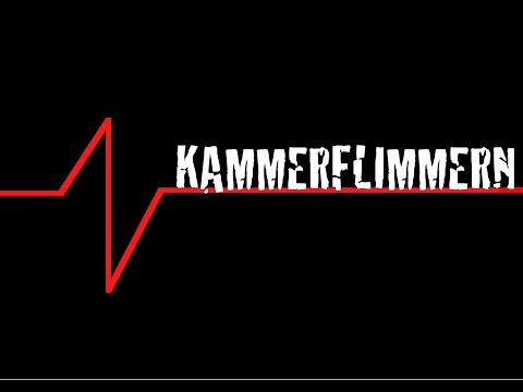 Kammerflimmern 2 Pure*Blood*Techno Rückblick.mov