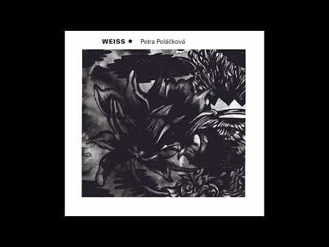 Sylvius Leopold Weiss - Ciacona g minor