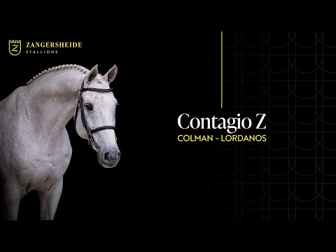 CONTAGIO Z