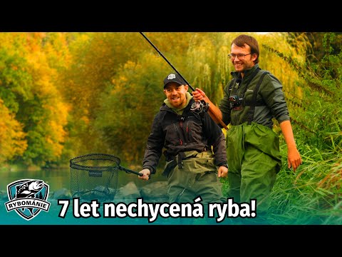 RYBOMÁNIE na rybách #8 - Tuhle vzácnou rybu tady nechytil Tadeáš