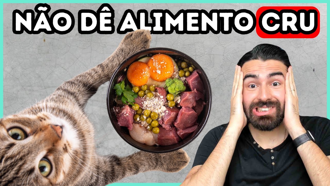 O Real Motivo dos Veterinários ODIAREM Alimentação Crua