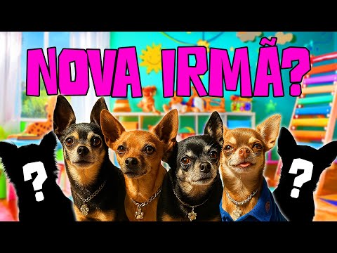 DESCOBRINDO QUE TEREMOS UMA NOVA IRMÃ!