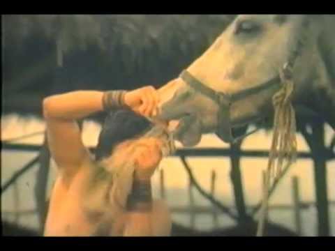 Billy Chong's Horse Washing Technique - Funny Kung Fu Movie Moment
