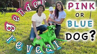 SURPRISE GENDER REVEAL!