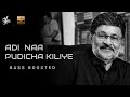 Adi Naa Pudicha Kiliye Bass Boosted K Bhagyaraj Aishwarya Ilaiyaraaja SK BASS TAMIL