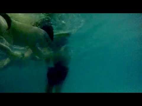 Swimming Moby Dick School