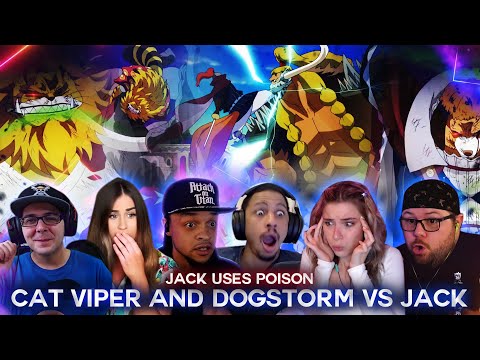 Cat Viper And Dogstorm Vs Jack ! Poison ! Reaction Mashup