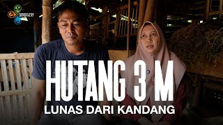 Download lagu TERLILIT UTANG 3M KARENA JUD*L HINGGA DIKEJAR DEBTCOL!!  PASANGAN INI BERHASIL LUNASI DENGAN KAMBING mp3