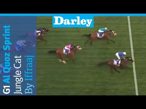 Jungle Cat by Iffraaj wins the G1 Al Quoz Sprint at Meydan