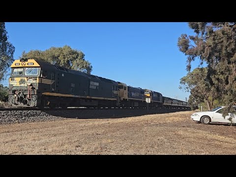 7738V PN up loaded wheat grain (G523 X48 XR559), Dimboola to Geelong, 0945, 13/3/25, Horsham VIC