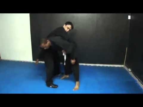 Ninjutsu Bujutsu Training day 40 koshi no mawari