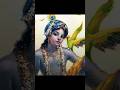 Your Heart Is Beating Only For Him Ve Kamleya Whatsapp Status Shorts Krishna