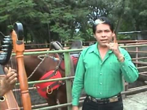 Cabalgando por el Llano   -   Yo soy de Apure (Domingo García)