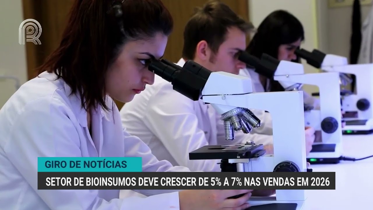 Safra de café 2026 deve ser recorde de 67,6 mi sacas | Giro de Notícias