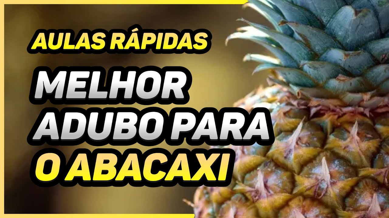 ABACAXI - Plantio e adubação