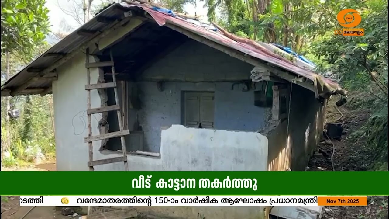 ഇടുക്കി ജില്ലയിൽ വീണ്ടും ചക്കകൊമ്പൻ എന്ന കാട്ടാന ?