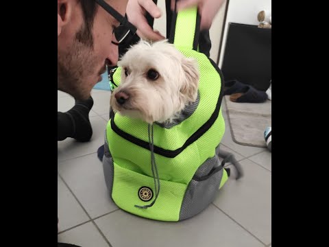 Zaino Per Animali Domestici