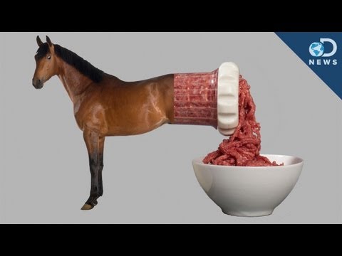Snědli byste koňské maso?