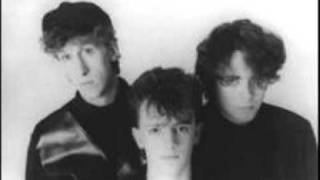 Icicle Works Stood Before St Peter