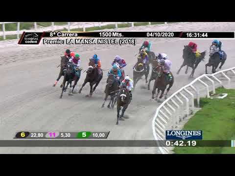 201004 CARRERAS DE LA 6a A LA10a - HIPODROMO NACIONAL DE MAROÑAS